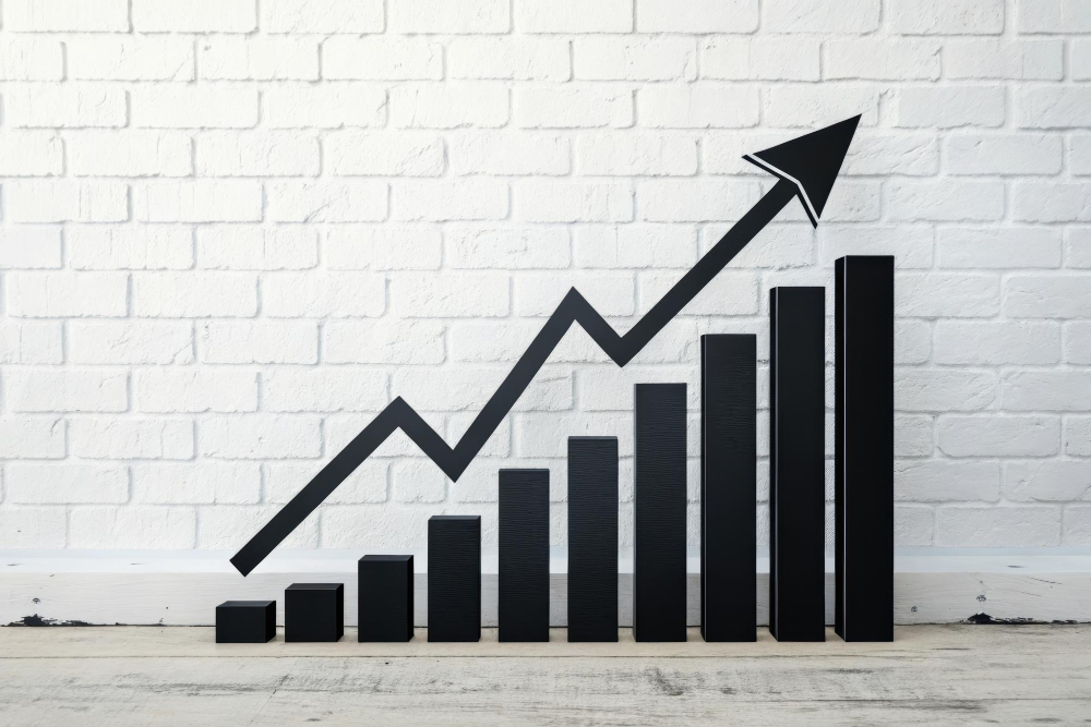 Google business profil SEO Rhone alpes